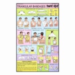 Triangular Bandages Chart